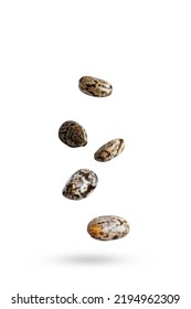 Chia Seeds Falling On White Background