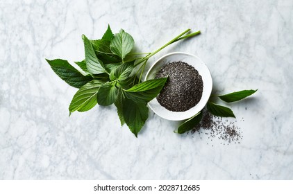 Chia seeds and chia plant leaves. Top view. Copy space