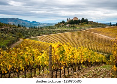 Chianti Region, Tuscany, Italy. Vineyards In Autumn At Sunset