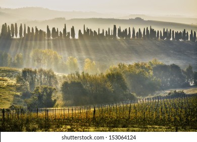 Chianti wine region near Bibbiano, Tuscany, Italy