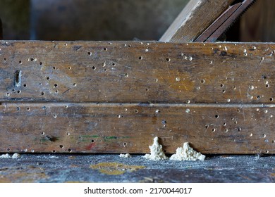 Chiaroscuro Still life with the beading Plane and the Wood-worms - Shutterstock ID 2170044017