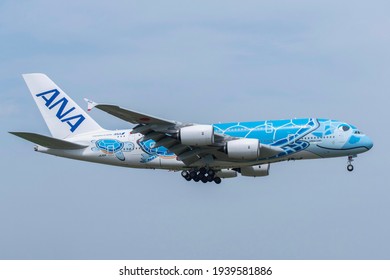 Ana 飛行機 の画像 写真素材 ベクター画像 Shutterstock