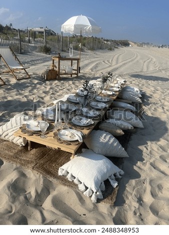 Chic beach picnic set up