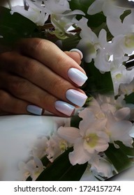 chic nail design smooth transition gradient in manicure