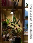 A chic and stylish indoor plant shelf featuring a grow light and a diverse variety of green plants