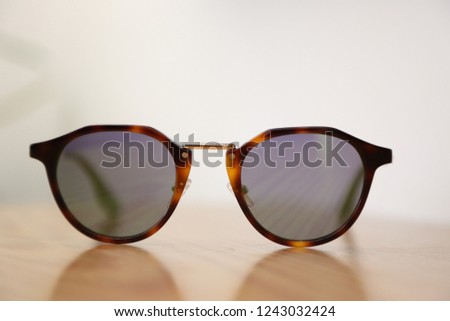 chic sunglasses front view