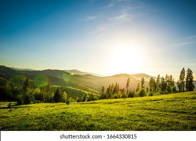 21,038 Hilltop trees Images, Stock Photos & Vectors | Shutterstock