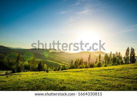 Chic view from hilltop onto a spruce forest growing on the hills and mountains on a sunny warm summer day against a blue sky. Concept of outdoor recreation and relaxation. Advertising space
