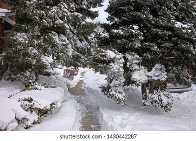 Chicago Blizzard 2011, Piles Of Snow On Sidewalks And Streets