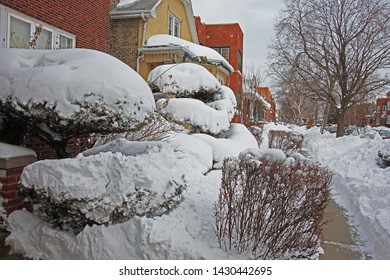 Chicago Blizzard 2011, Piles Of Snow On Sidewalks And Front Yards