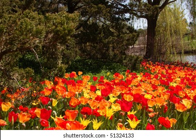 Chicago Botanic Garden