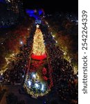 Chicago Christmas Tree Lighting, Big Crowd, Holiday Spirit