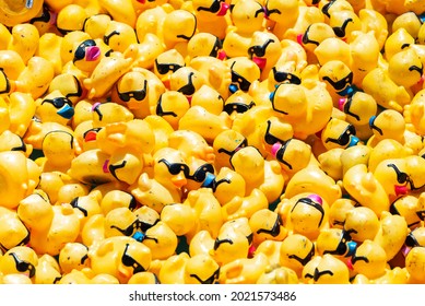 Chicago, IL - August 5th, 2021: A Pile Of Yellow Rubber Ducks With Sunglasses And Colored Beaks Float Down The Chicago River During The Special Olympics Illinois Annual Ducky Derby.