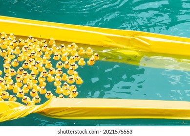 Chicago, IL - August 5th, 2021: A Group Or Pack Of Yellow Rubber Ducks Float Down The Chicago River In The Turquoise Colored Water During The Annual Special Olympics Illinois Ducky Derby.