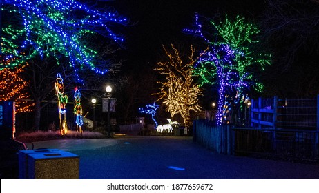 Chicago, IL December 10, 2020, Trees Lit Up In Christmas Holiday Lights Or Zoo Lights At The Lincoln Park Zoo