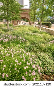 Chicago, IL - July 17, 2021: The Famous Landkark, Chicago Stock Exchange Arch, By Architects Louis Sullivan And Dankmar Adler, Now Residing In A Garden At The Art Institute.