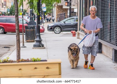 CHICAGO, IL, June 21, 2017: Older Man Walks His Big, Fluffy, Adorable Dog Around The Wicker Park Neighborhood. The Dog Is Gentle And Friendly. Wicker Park Is A Very Dog Friendly Neighborhood.