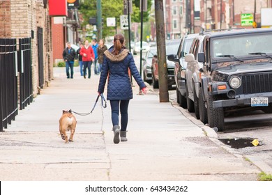 563 Woman walking dog behind Images, Stock Photos & Vectors | Shutterstock