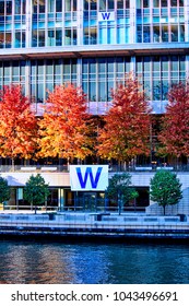 Chicago, IL / USA - 11/4/2016: Cubs Win! Chicago River Is Dyed Blue During 2016 Celebration Of The Cubs Winning The World Series Of Baseball. W Flags Hang Outside Office Buildings.