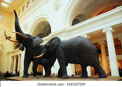 Chicago, IL, USA April 7 The elephant display dominates the foyer of the Field Museum of Natural History in Chicago
