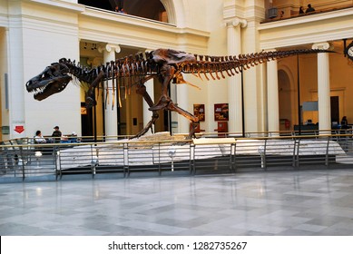 Chicago, IL, USA April 7 Sue, The Most Complete T Rex Ever Unearthed, Is On Display At The Field Museum In Chicago