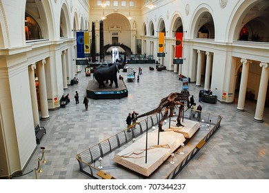 Chicago, IL, USA April 7 An Overview of the Lobby at the Field Museum of Natural History, Chicago shows Sue, the most complete T Rex ever found.