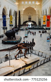 Chicago, IL, USA April 7 The Main Floor Of The Famous Field Museum In Chicago Displays Sue, The Most Complete T Rex Ever Unearthed