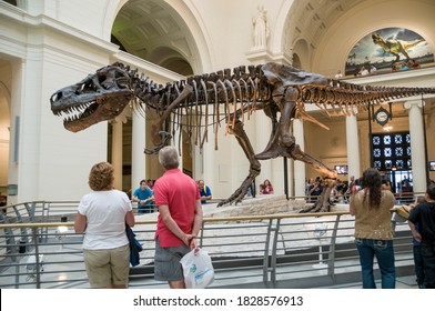 Chicago, Illinois / USA -09 01 2012 The TYRANNOSAURUS (Tyrannosaurus rex) SKELETON of SUE  on display inside the FIELD MUSEUM OF NATURAL HISTORY