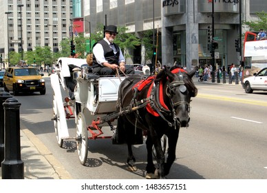 Chicago, Illinois, USA. June 8, 2008. A horse-drawn carriage on which rides are given for a fare.
