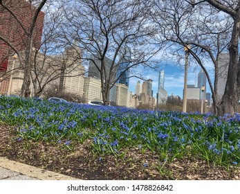 Chicago/ Illinois/USA - April 16, 2019: Manicured Gardens At The South Court Of Presidents In Chicago. It Is Located Within The City's Central Business District.