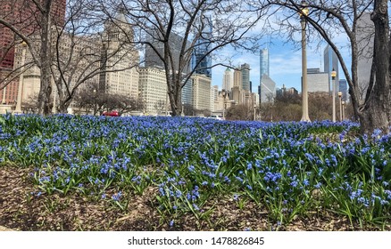 Chicago/ Illinois/USA - April 16, 2019: Manicured Gardens At The South Court Of Presidents In Chicago. It Is Located Within The City's Central Business District.