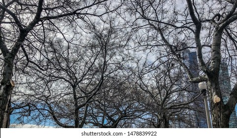 Chicago/ Illinois/USA - April 16, 2019: Cloudy Sky On The South Court Of Presidents' Garden In Chicago. It Is Located In Grant Park, Within The City's Central Business District.