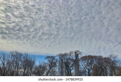 Chicago/ Illinois/USA - April 16, 2019: Cloudy Sky On The South Court Of Presidents' Garden In Chicago. It Is Located In Grant Park, Within The City's Central Business District.