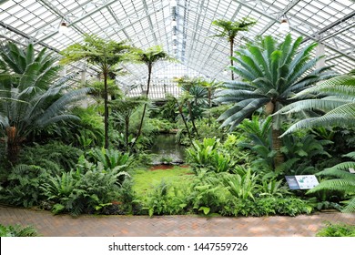 CHICAGO, IL/USA - JULY 10, 2019: Garfield Park is a 184-acre urban park located in the East Garfield Park neighborhood on Chicago's West Side. A conservatory, and gardens.