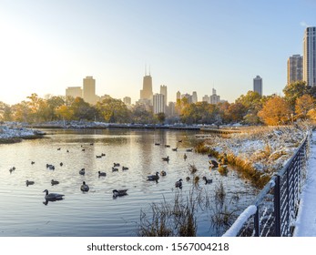 Chicago Lincoln Park Fall Foliage In Snow