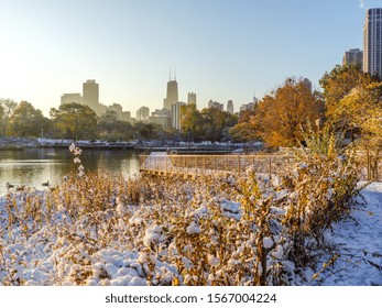 Chicago Lincoln Park Fall Foliage In Snow