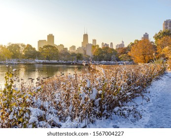 Chicago Lincoln Park Fall Foliage In Snow