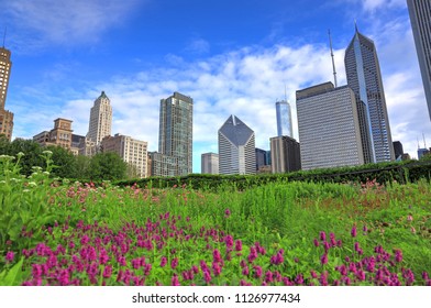 The Chicago Skyline From Lurie Garden.