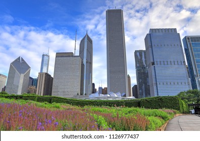 The Chicago Skyline From Lurie Garden.