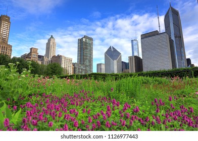 The Chicago Skyline From Lurie Garden.