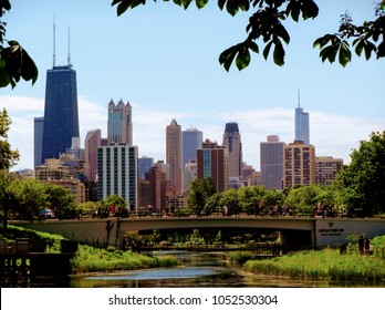 Chicago skyline seen from Lincoln Park Zoo