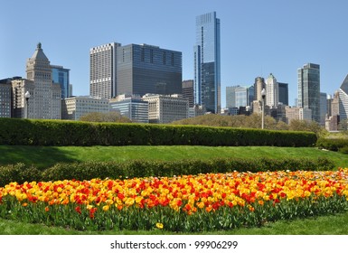 Chicago Skyline - View From Grant Park