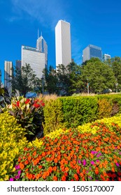 Chicago Skyline View From Millenium Park