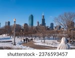 Chicago skyline viewed during the day in winter