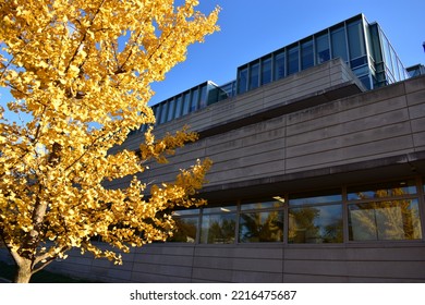 CHICAGO, UNITED STATES - Nov 09, 2017: The University Of Chicago Booth School Of Business In Autumn 