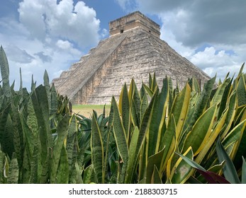Chichen Itza monument in Yucatan, with Sansevieria plant in foreground. Chichen Itza, Yucatan, Mexico. August 4th 2022