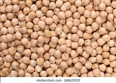 Chick Pea Background