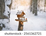 Chickadees and bullfinches in a bird feeder in a winter forest.
