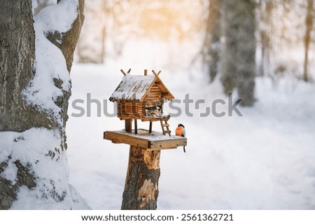 Similar – Image, Stock Photo Bird feeder with birds on a construction fence