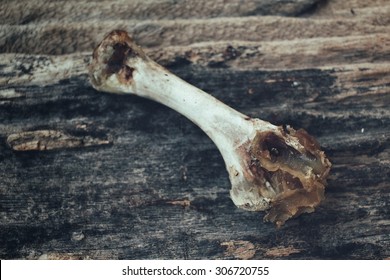 Chicken bones
